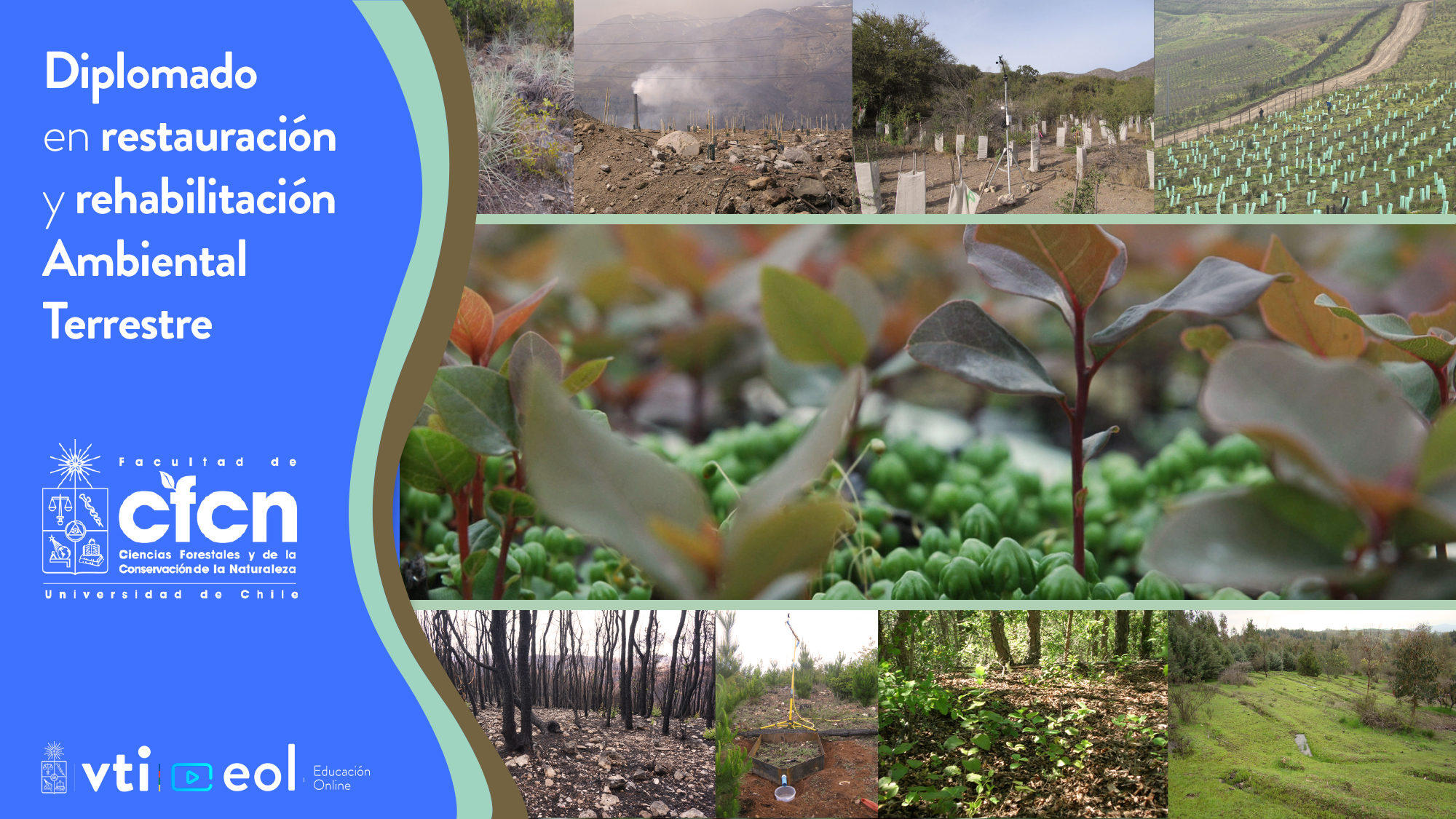 Diplomado en Restauración y Rehabilitación Ambiental Terrestre DRRAT